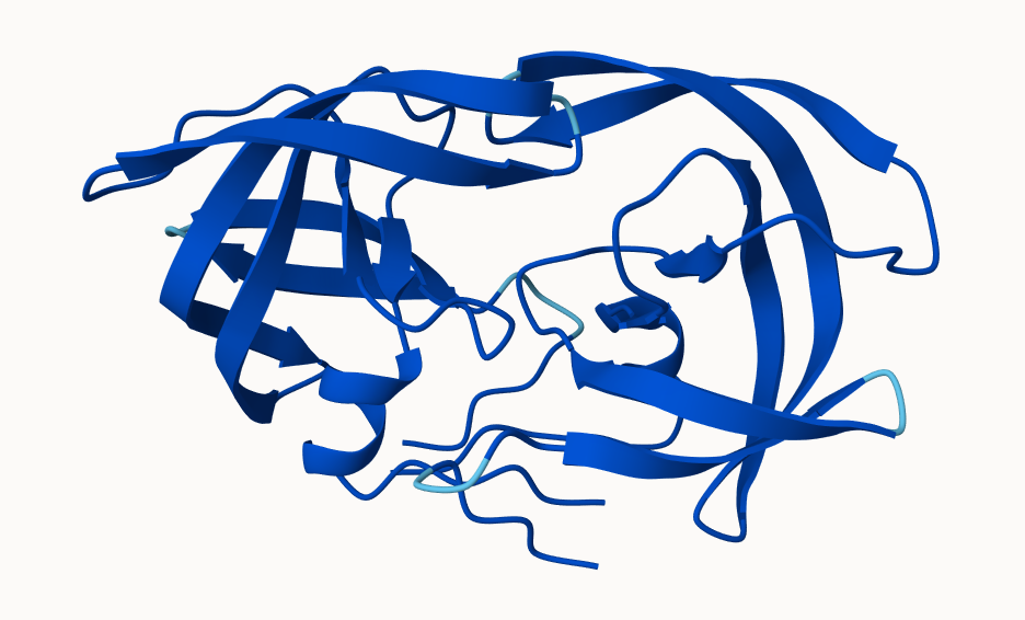 Mol* Visualization of Model 1, colored by pLDDT
confidence